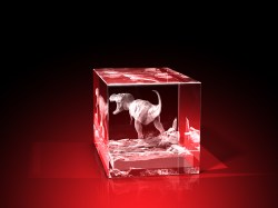3D-Porträt vom Foto – 1 Person – Quader 40 x 60 x 40 mm – GLASFOTO.COM